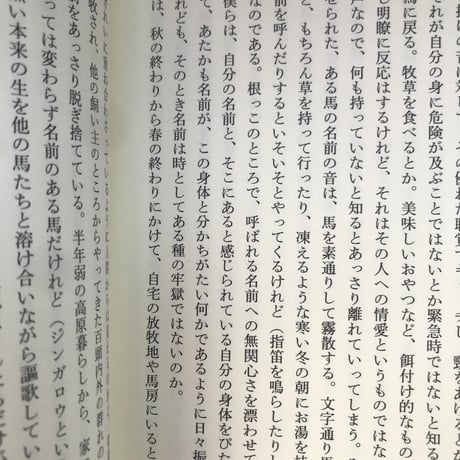 【新刊】植本一子『ここは安心安全な場所』
