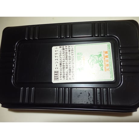 久保田農園　【コーンススラウト】約60本入り