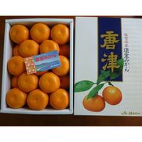 送料無料　佐賀県産　ハウスみかん　2.2ｋｇ（約22個入り）