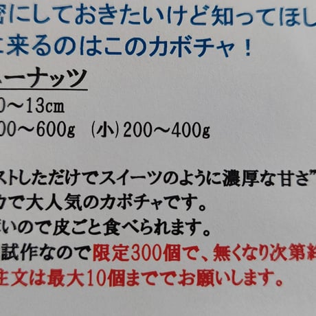 久保田農園　ハニ－ナッツ（大）400～600ｇ/1個