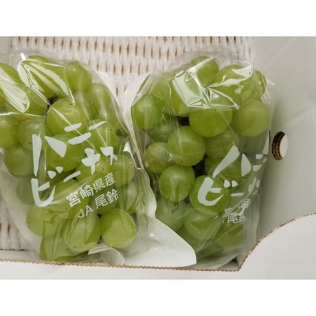 送料無料　御中元や御供に　【フルーツ詰め合わせギフト】5点