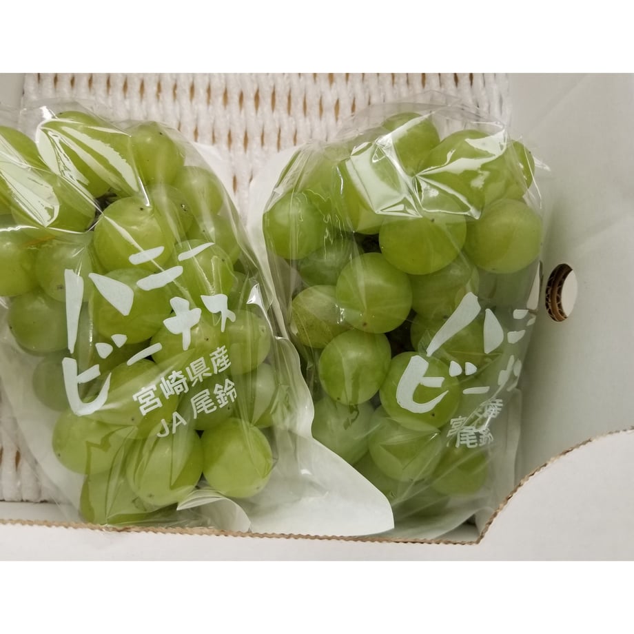 6104e43c8a4572031622bb53