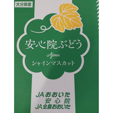 【送料無料】大分県安心院　シャインマスカット４房入り