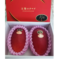 【送料無料】4月１3日解禁宮崎県が誇るフル-ツ 最高級ランクAA【太陽のたまご】4Lサイズ２玉入り