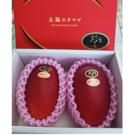 【送料無料】4月１3日解禁宮崎県が誇るフル-ツ 最高級ランクAA【太陽のたまご】4Lサイズ２玉入り