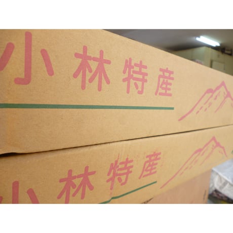 調理しやすい　太めの泥付き牛蒡　10ｋｇ/ケ-ス