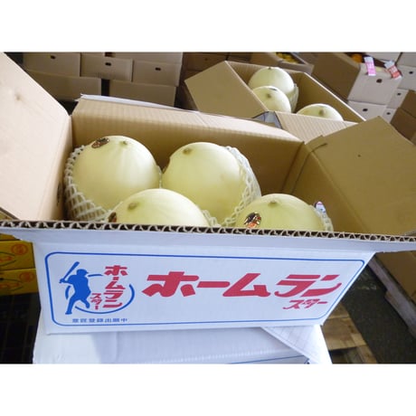 送料無料　熊本産　ホ-ムランメロン　4玉~6玉入り