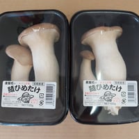宮崎産　しげながきのこ　【エリンギ】100ｇ/Ｐ