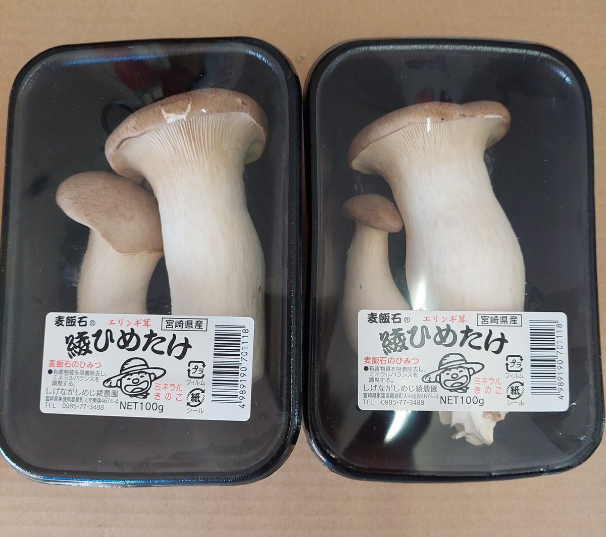 宮崎産 しげながきのこ 【エリンギ】100g/P | おやさい＆フル－ツ 