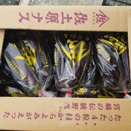 とろっと、美味しい　宮崎特産　佐土原茄子　２本/1P