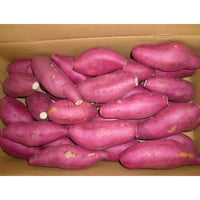 宮崎県産　新物さつまいも　【宮崎紅】Mサイズ　５kg/箱