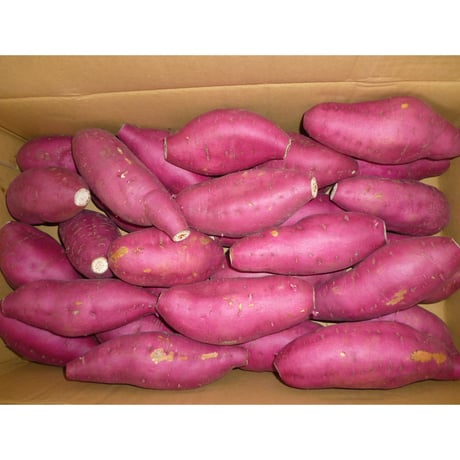 宮崎県産　新物さつまいも　【宮崎紅】Mサイズ　５kg/箱