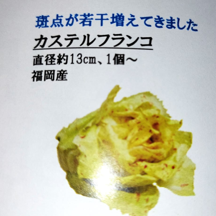 67986dc1cbce52027dfcc6c6