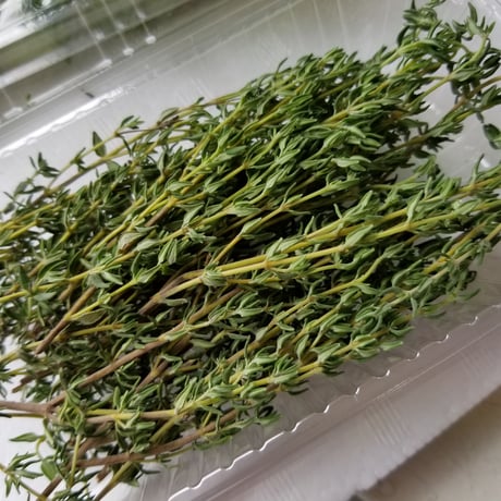 久保田農園　【タイム】15ｇ/P