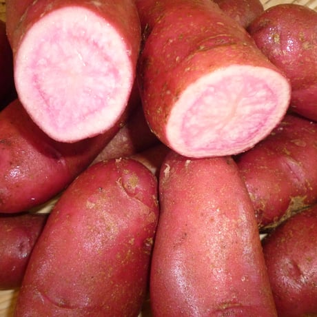 久保田農園　ノーザンルビ－　1ｋｇ