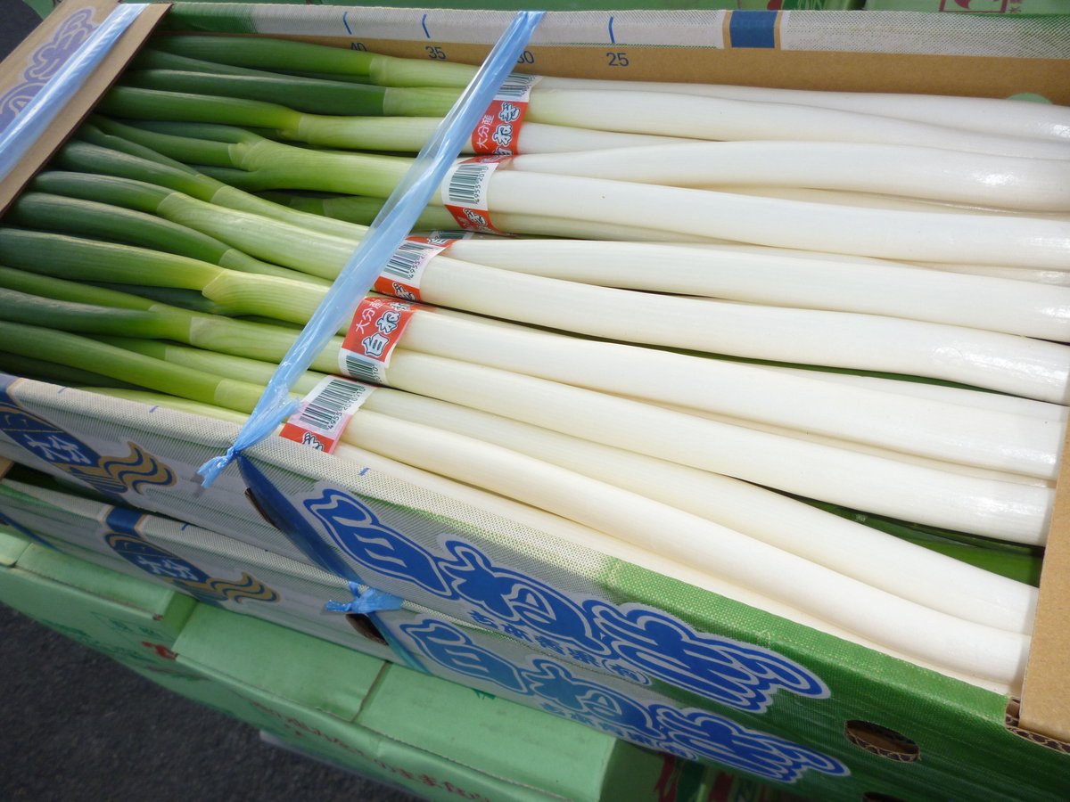 白ねぎ 宮崎または大分産 白ねぎ（3本/束） | おやさい＆フル－ツ 青果