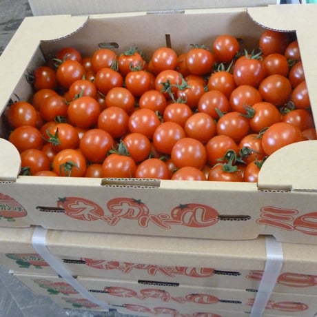 有機農法　ネッカリッチ資材使用　パ-ルミニトマト　3ｋｇ  ×3箱