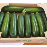宮崎特産　ズッキ-ニ　2ｋｇ/ケ-ス