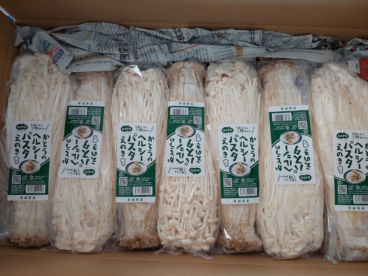 えのきページ 宮崎産ヘルシ－ 加藤えのきの えのきパスタ 7束入り | おやさい＆フル