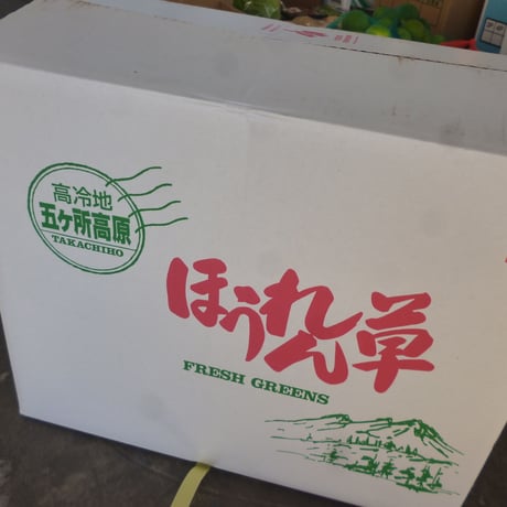 夏限定　高冷地五ヶ瀬町　ほうれん草　200ｇ/束
