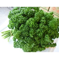 延岡産　パセリ　200ｇ/束