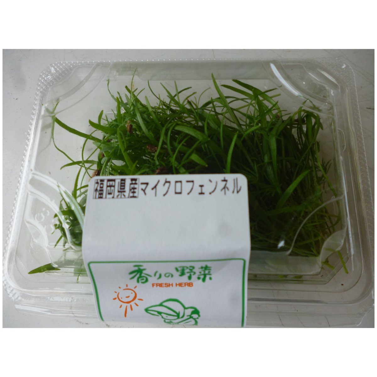 久保田農園 スプラウト系【マイクロフェンネル】 | おやさい＆フル－ツ