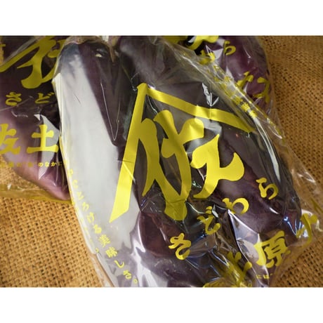 とろっと、美味しい　宮崎特産　佐土原茄子　２本/1P