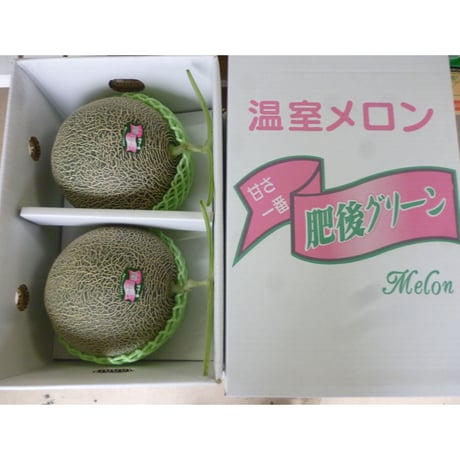 送料無料　熊本県産　【肥後グリ-ンメロン】２玉入り