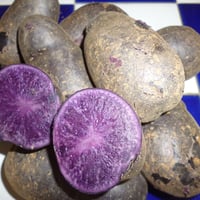 久保田農園　シャド－クウィ－ン　1ｋｇ