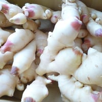 宮崎県産　新しょうが　4ｋｇ/特大
