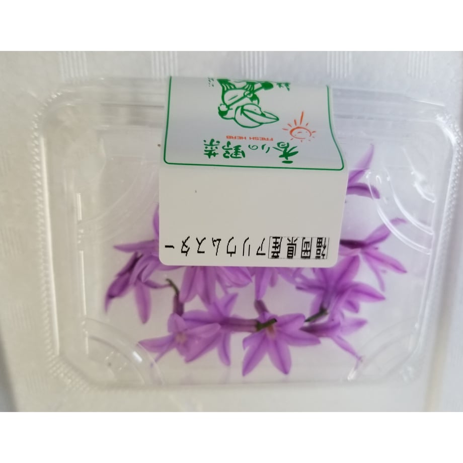 6434ec40d87efe002db14c7a