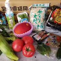 送料無料　宮崎の美味しいもの詰め合わせ　ふるさとセット