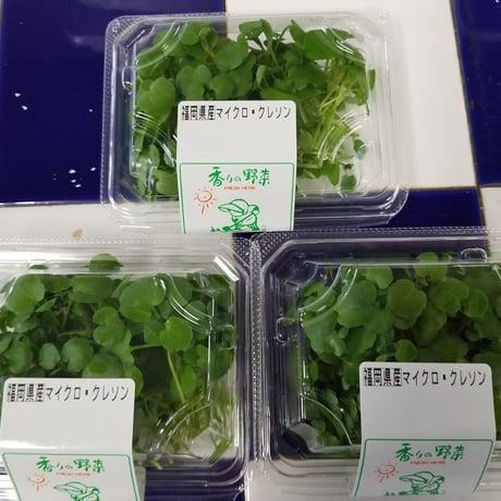 久保田農園　スプラウト系【マイクロクレソン】1パック