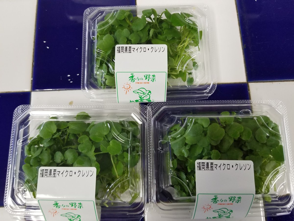 久保田農園 スプラウト系【マイクロクレソン】1パック | おやさい