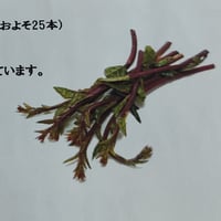 久保田農園　ミニムラサキ　30ｇ/Ｐ