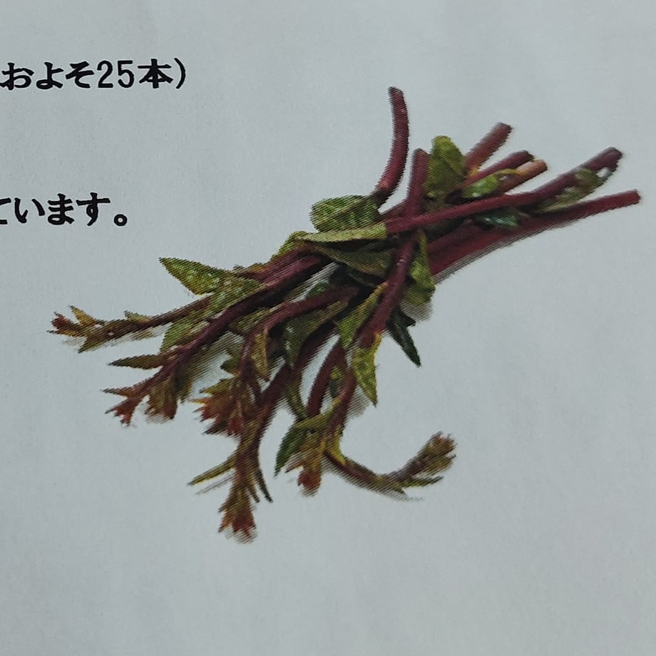 68846c7823e190f9bb4821a7