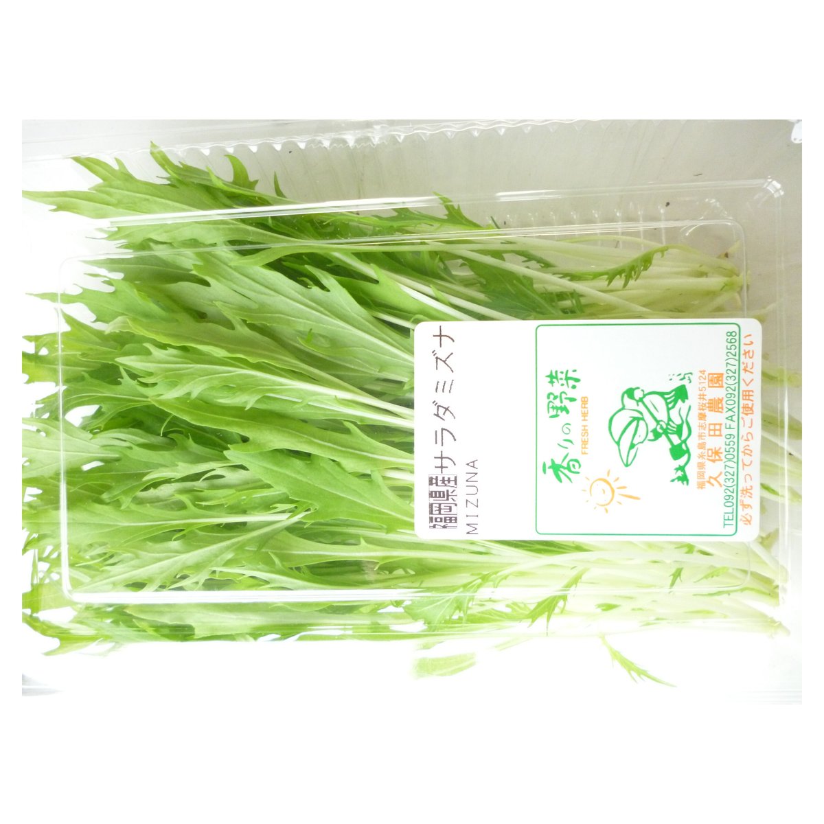 久保田農園 サラダ水菜 | おやさい＆フル－ツ 青果仲卸店 あぜた
