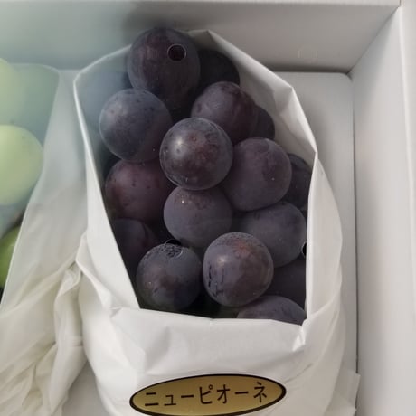送料無料　高級ぶどうの詰め合わせ　福岡朝倉産　種無し　シャインマスカットとピオ-ネのセット
