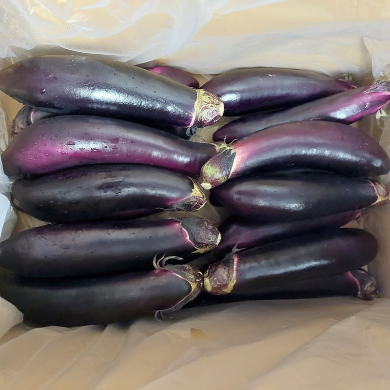 紫ナス白ナス19kg箱込み（2種類） 紫ナスと白ナス19kg箱込み（2種類）