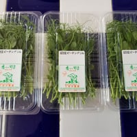 福岡産　久保田農園【ピーテンドリル】1パック