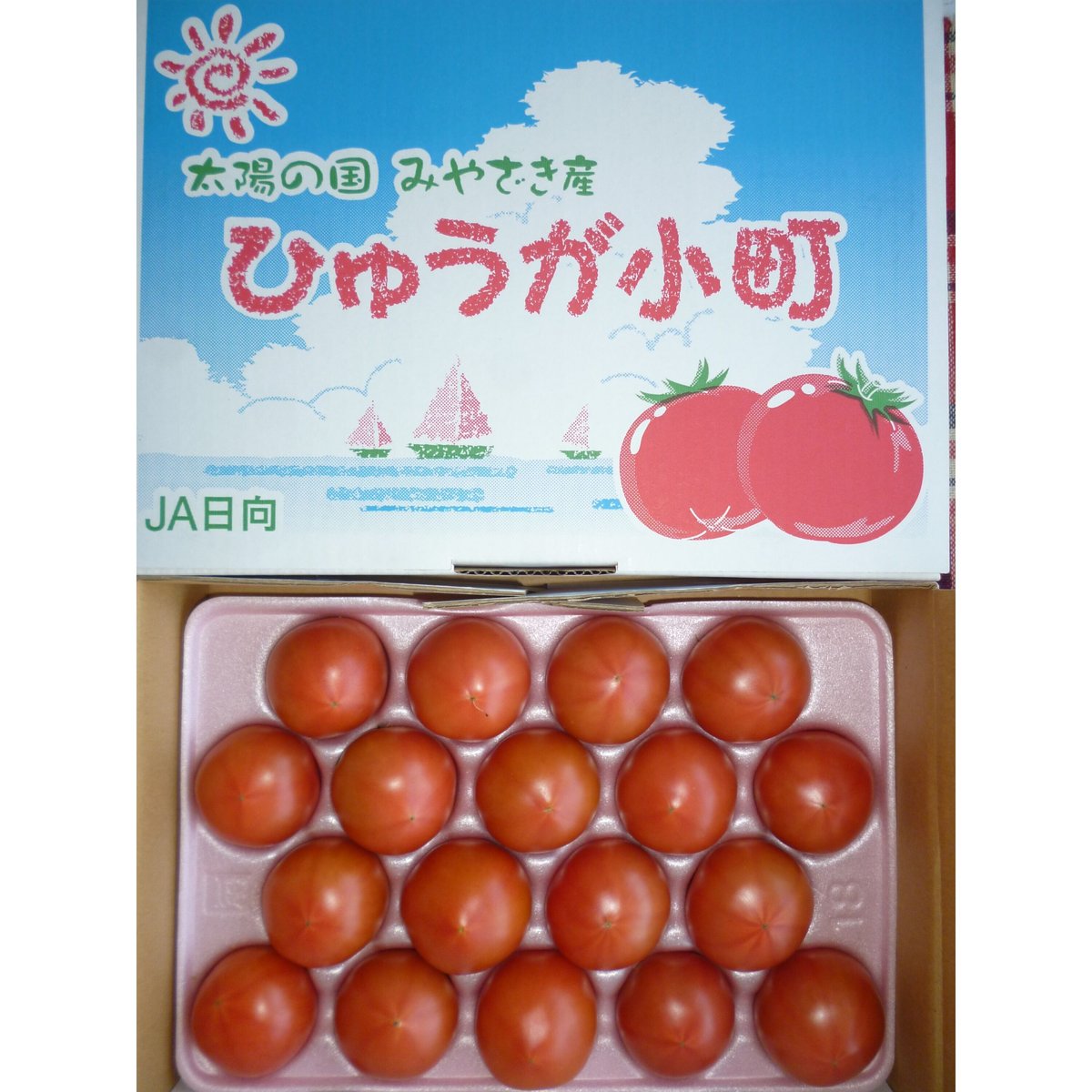 ツメトギハウス トマトデザイン 送料無料 宮崎日向産 フル－ツトマト【日向小町】12玉~15玉