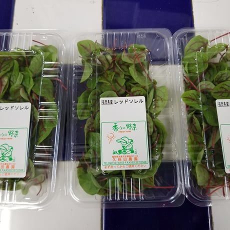福岡産　久保田農園【レッドソレル】1パック