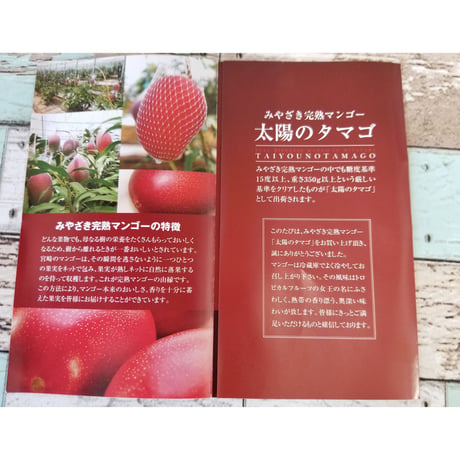 【送料無料】4月１3日解禁宮崎県が誇るフル-ツ 最高級ランクAA【太陽のたまご】4Lサイズ２玉入り