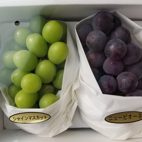 送料無料　高級ぶどうの詰め合わせ　福岡朝倉産　種無し　シャインマスカットとピオ-ネのセット
