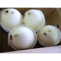 送料無料　熊本産　ホ-ムランメロン　4玉~6玉入り