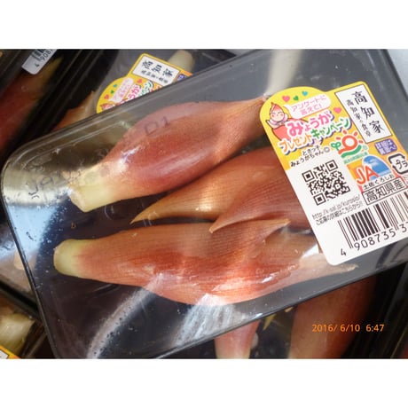 送料無料　宮崎の郷土料理　冷汁セット