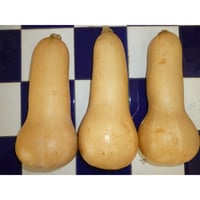 久保田農園　バタ-ナッツ　Mサイズ（500g～1Kg）1玉