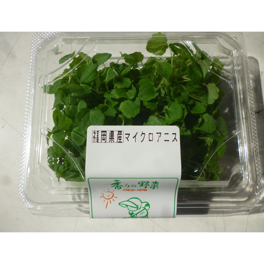 642a79019300a9002c7814e6