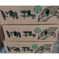 送料無料　宮崎特産　朝どれとうもろこし【ドルチェ】2L～3Lサイズ/11～13本入り