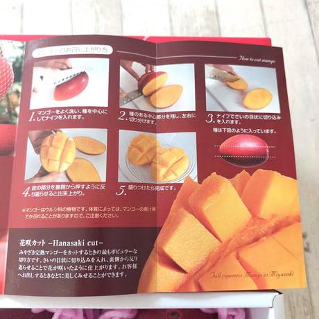 送料無料　宮崎県が誇るフル-ツ 最高級ランクA【太陽のたまご】3Lサイズ２玉入り